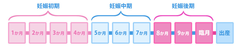 妊娠周期